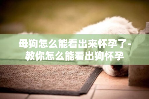 母狗怎么能看出來懷孕了-教你怎么能看出狗懷孕