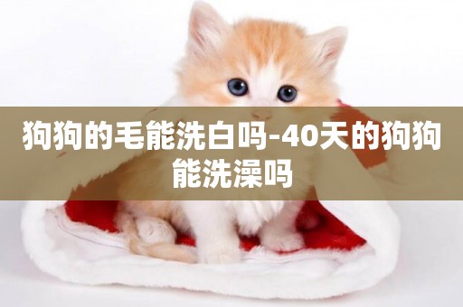 狗狗的毛能洗白嗎-40天的狗狗能洗澡嗎