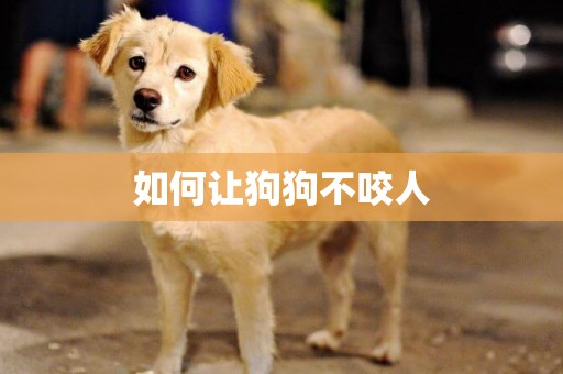 如何讓狗狗不咬人