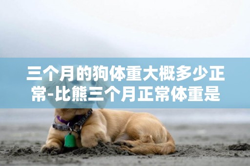 三個月的狗體重大概多少正常-比熊三個月正常體重是多少