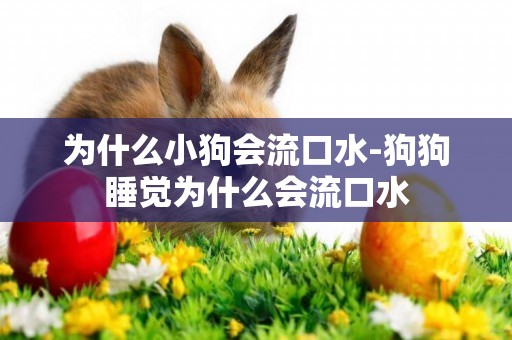 為什么小狗會流口水-狗狗睡覺為什么會流口水