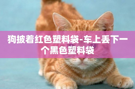 狗披著紅色塑料袋-車上丟下一個黑色塑料袋