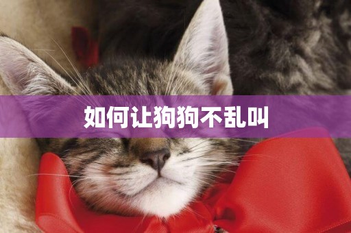 如何讓狗狗不亂叫