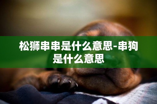 松獅串串是什么意思-串狗是什么意思