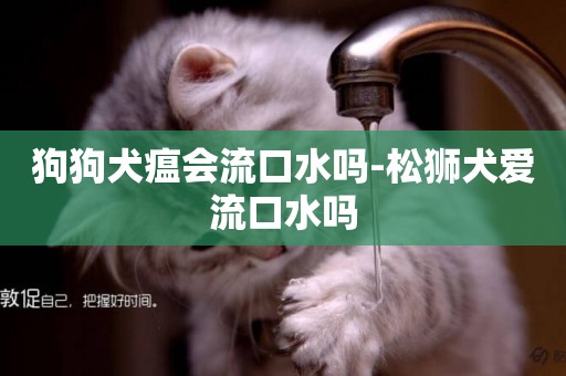 狗狗犬瘟會流口水嗎-松獅犬愛流口水嗎