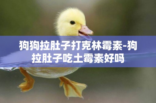 狗狗拉肚子打克林霉素-狗拉肚子吃土霉素好嗎