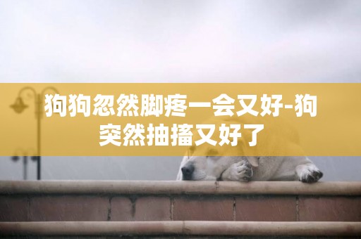 狗狗忽然腳疼一會又好-狗突然抽搐又好了