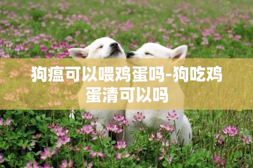 狗瘟可以喂雞蛋嗎-狗吃雞蛋清可以嗎