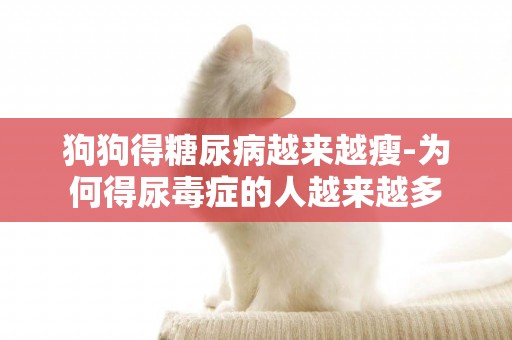 狗狗得糖尿病越來越瘦-為何得尿毒癥的人越來越多