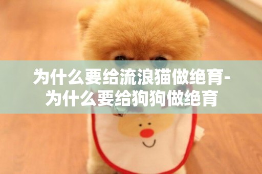 為什么要給流浪貓做絕育-為什么要給狗狗做絕育