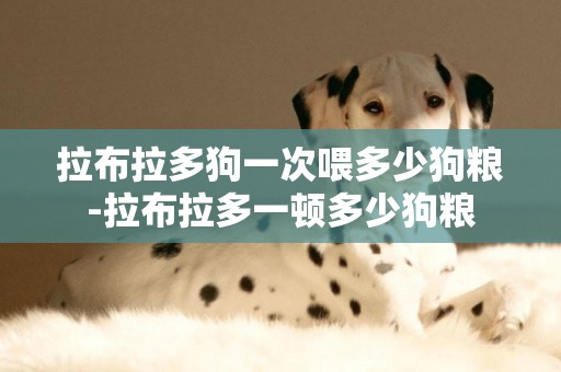 拉布拉多狗一次喂多少狗糧-拉布拉多一頓多少狗糧
