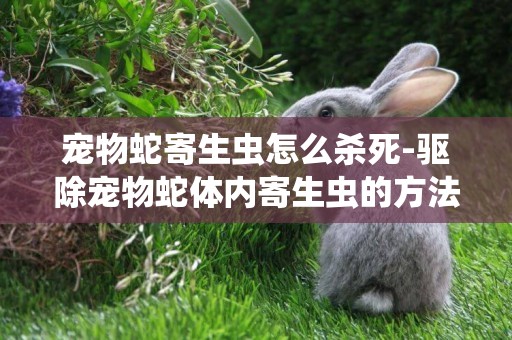 寵物蛇寄生蟲怎么殺死-驅除寵物蛇體內寄生蟲的方法