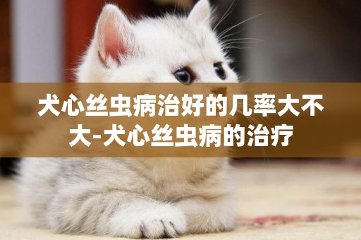 犬心絲蟲病治好的幾率大不大-犬心絲蟲病的治療