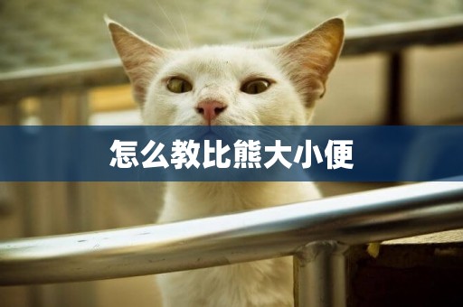 怎么教比熊大小便
