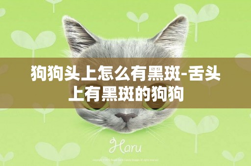 狗狗頭上怎么有黑斑-舌頭上有黑斑的狗狗