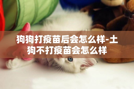 狗狗打疫苗后會怎么樣-土狗不打疫苗會怎么樣