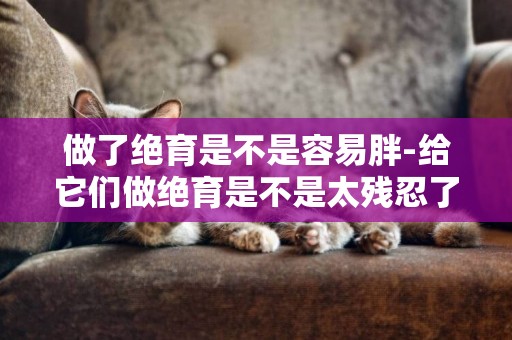 做了絕育是不是容易胖-給它們做絕育是不是太殘忍了