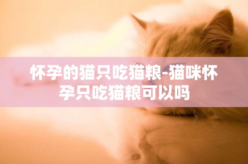 懷孕的貓只吃貓糧-貓咪懷孕只吃貓糧可以嗎
