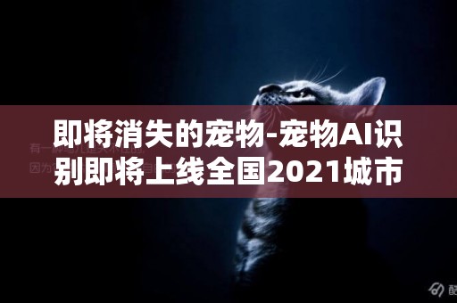 即將消失的寵物-寵物AI識別即將上線全國2021城市