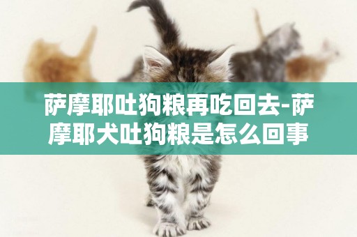 薩摩耶吐狗糧再吃回去-薩摩耶犬吐狗糧是怎么回事
