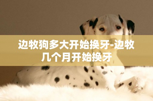 邊牧狗多大開始換牙-邊牧幾個月開始換牙