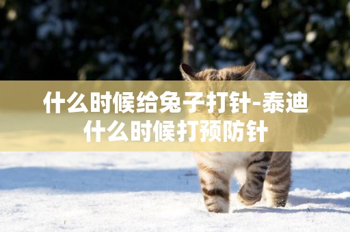 什么時候給兔子打針-泰迪什么時候打預防針