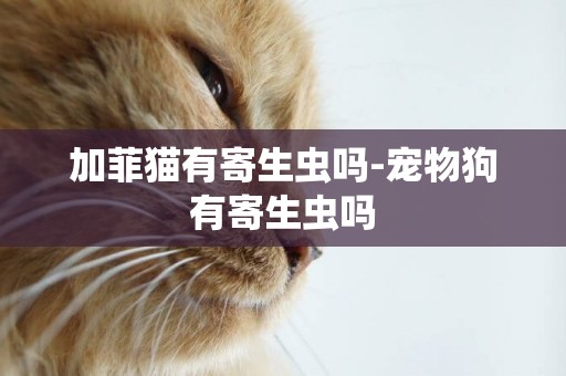 加菲貓有寄生蟲嗎-寵物狗有寄生蟲嗎