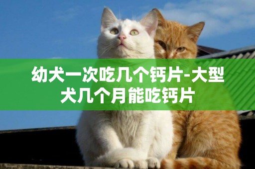 幼犬一次吃幾個鈣片-大型犬幾個月能吃鈣片
