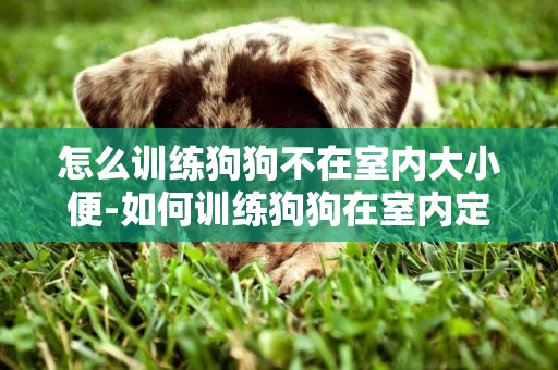 怎么訓練狗狗不在室內大小便-如何訓練狗狗在室內定點大小便