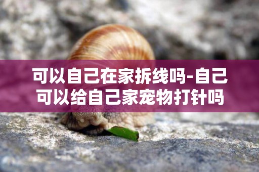 可以自己在家拆線嗎-自己可以給自己家寵物打針嗎