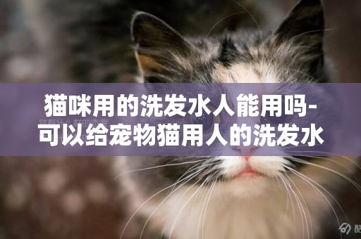 貓咪用的洗發水人能用嗎-可以給寵物貓用人的洗發水洗澡嗎