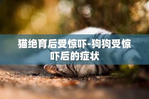 貓絕育后受驚嚇-狗狗受驚嚇后的癥狀