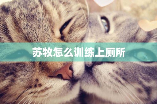 蘇牧怎么訓練上廁所