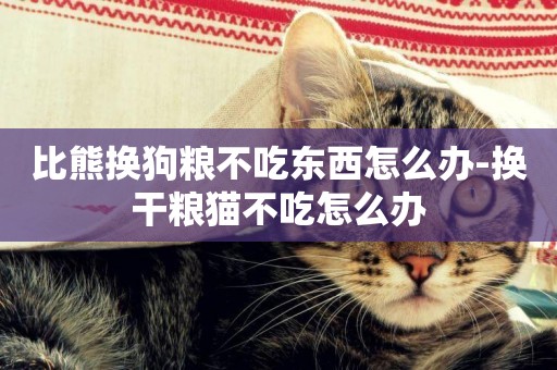 比熊換狗糧不吃東西怎么辦-換干糧貓不吃怎么辦