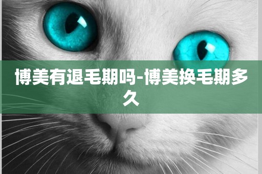 博美有退毛期嗎-博美換毛期多久