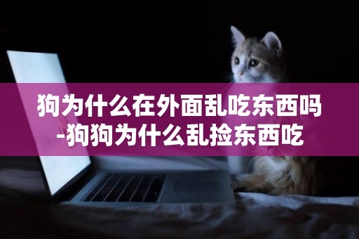 狗為什么在外面亂吃東西嗎-狗狗為什么亂撿東西吃