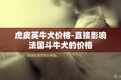 虎皮英牛犬價格-直接影響法國斗牛犬的價格