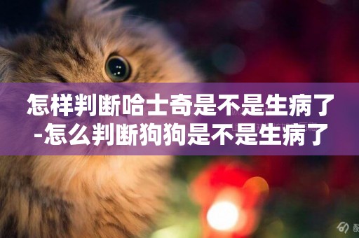 怎樣判斷哈士奇是不是生病了-怎么判斷狗狗是不是生病了