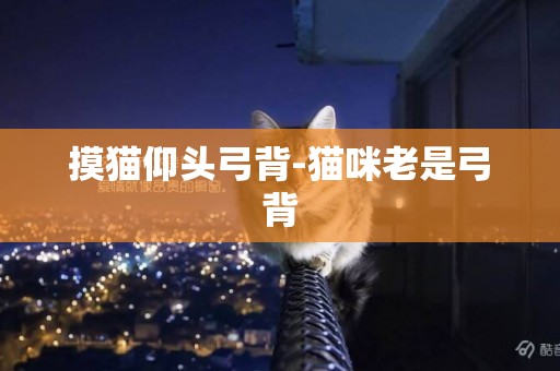 摸貓仰頭弓背-貓咪老是弓背