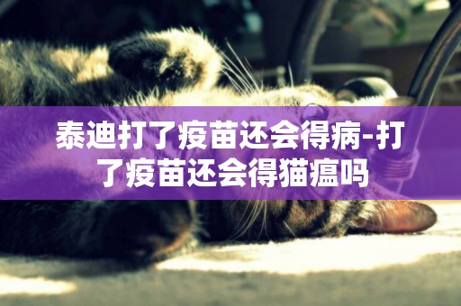 泰迪打了疫苗還會得病-打了疫苗還會得貓瘟嗎