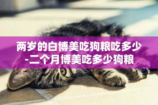 兩歲的白博美吃狗糧吃多少-二個月博美吃多少狗糧