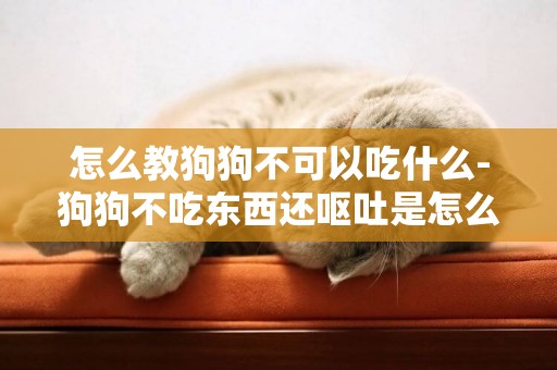 怎么教狗狗不可以吃什么-狗狗不吃東西還嘔吐是怎么回事