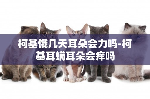 柯基餓幾天耳朵會力嗎-柯基耳螨耳朵會癢嗎
