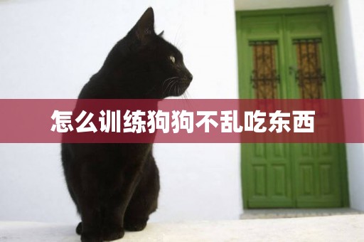 怎么訓練狗狗不亂吃東西