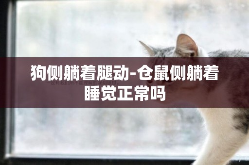 狗側躺著腿動-倉鼠側躺著睡覺正常嗎