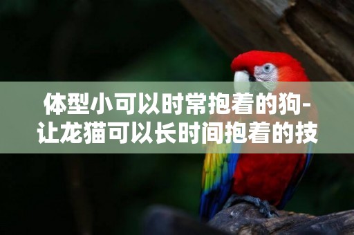 體型小可以時常抱著的狗-讓龍貓可以長時間抱著的技巧