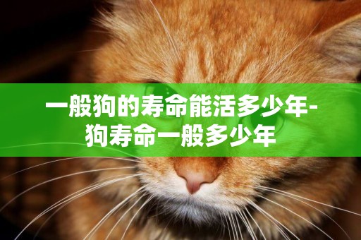 一般狗的壽命能活多少年-狗壽命一般多少年