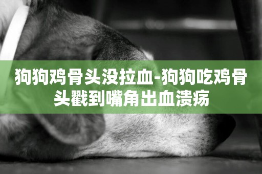 狗狗雞骨頭沒拉血-狗狗吃雞骨頭戳到嘴角出血潰瘍