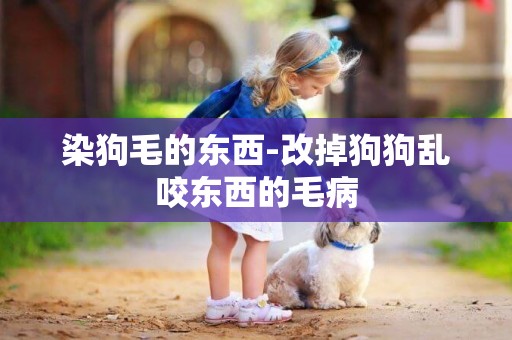 染狗毛的東西-改掉狗狗亂咬東西的毛病
