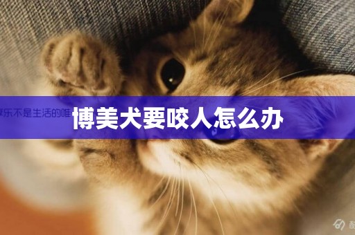 博美犬要咬人怎么辦